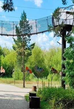Spacer w koronach drzew + Wieża widokowa